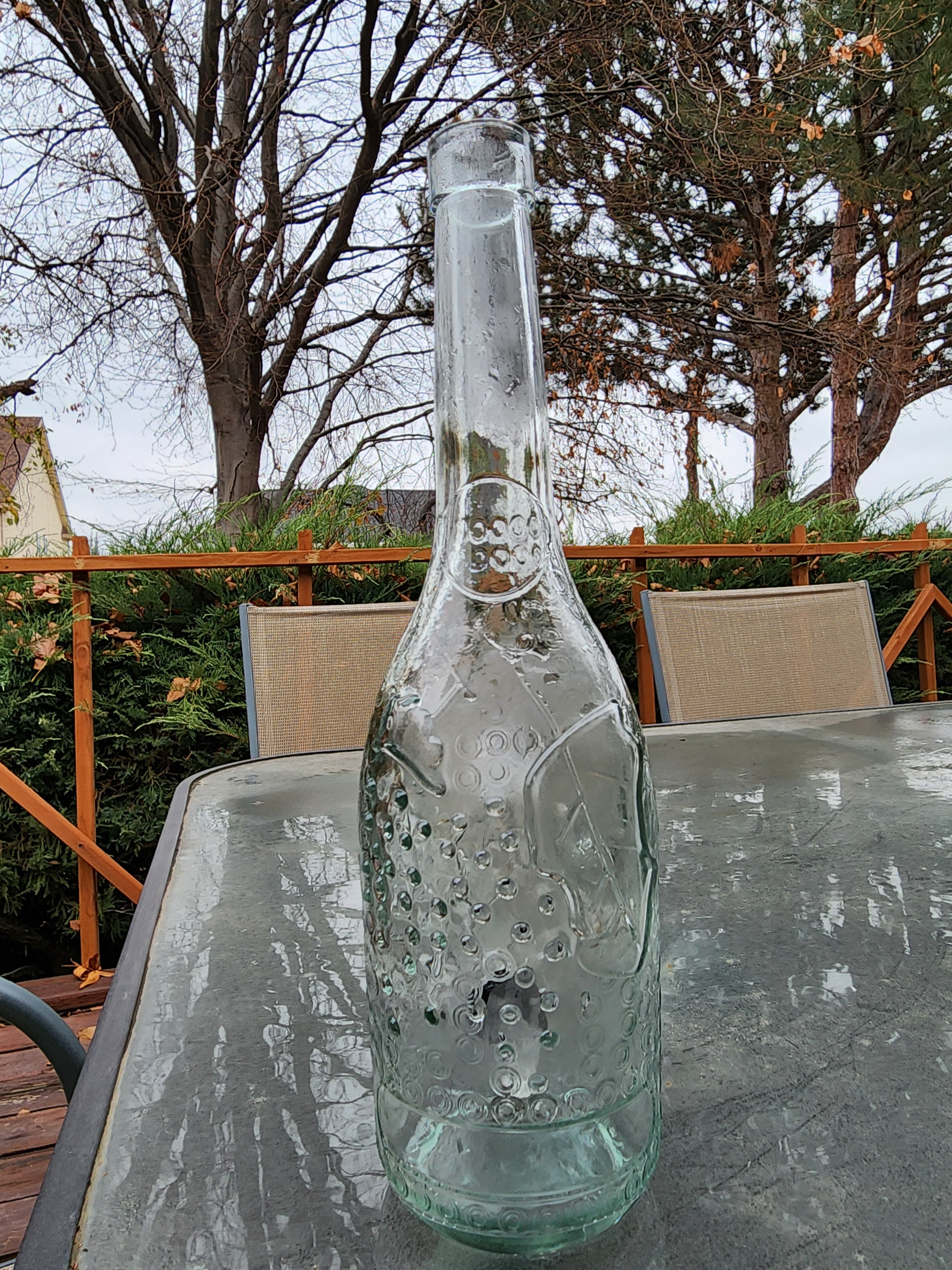 Fruit Wine Bottle Water Pipe